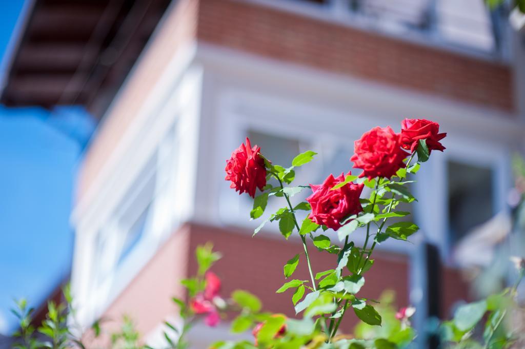 B&B Il Pettirosso Malonno Ngoại thất bức ảnh