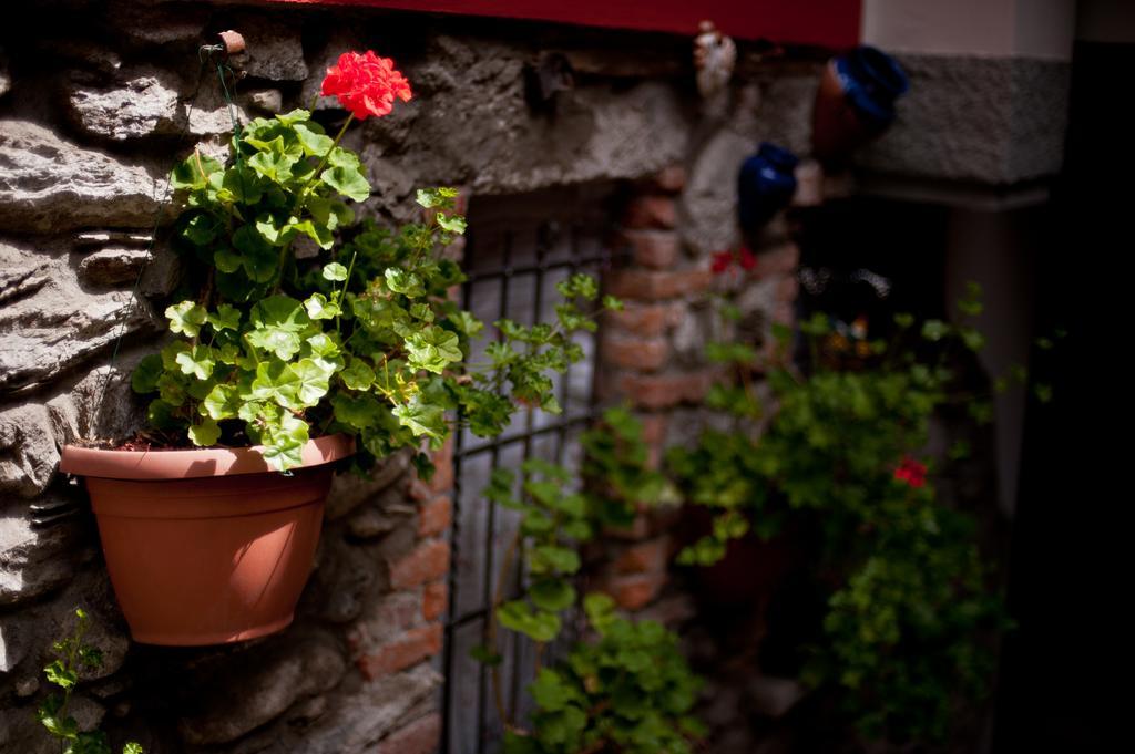 B&B Il Pettirosso Malonno Ngoại thất bức ảnh
